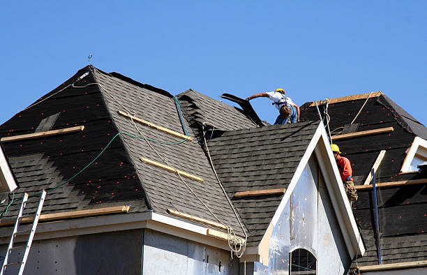 Best Roof Moss and Algae Removal  in Ravensworth, VA