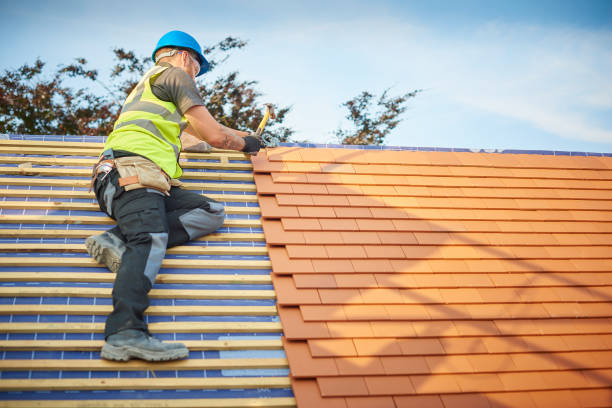 Best Skylight Installation and Repair  in Ravensworth, VA